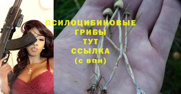 ПСИЛОЦИБИНОВЫЕ ГРИБЫ Медногорск