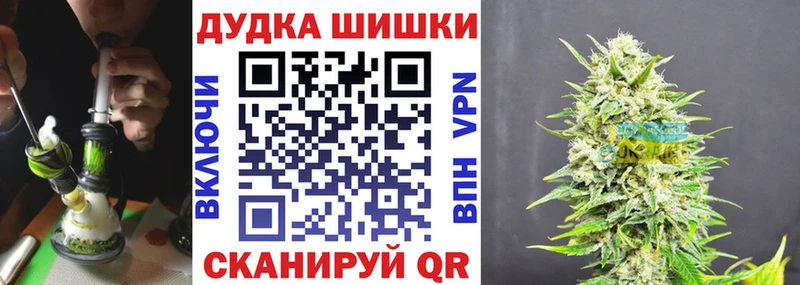 Бошки Шишки планчик  Чулым 